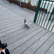 ヒメ日記 2025/08/25 18:22 投稿 千晃/ちあき STYLISH BACH