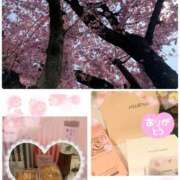 ヒメ日記 2025/03/29 21:49 投稿 まい クラブ貴公子