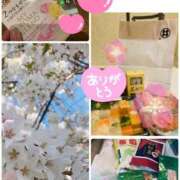 ヒメ日記 2025/04/07 07:01 投稿 まい クラブ貴公子