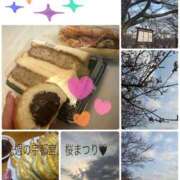 ヒメ日記 2026/04/05 06:03 投稿 まい クラブ貴公子