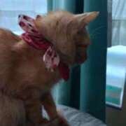 ヒメ日記 2025/01/03 11:35 投稿 つかさ 藤沢人妻城