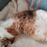 ヒメ日記 2025/01/03 15:15 投稿 つかさ 藤沢人妻城