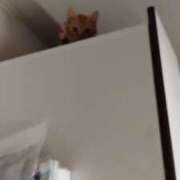 ヒメ日記 2025/01/05 11:14 投稿 つかさ 藤沢人妻城