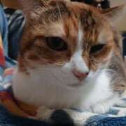 ヒメ日記 2026/03/08 21:32 投稿 つかさ 藤沢人妻城