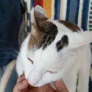 ヒメ日記 2026/03/13 23:08 投稿 つかさ 藤沢人妻城