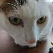 ヒメ日記 2026/03/15 07:45 投稿 つかさ 藤沢人妻城