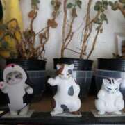 ヒメ日記 2026/03/16 17:36 投稿 つかさ 藤沢人妻城