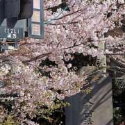 ヒメ日記 2026/04/07 12:00 投稿 つかさ 藤沢人妻城