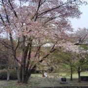 ヒメ日記 2025/04/04 10:26 投稿 工藤 人妻楼 熊谷店