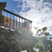 ヒメ日記 2025/05/26 11:10 投稿 工藤 人妻楼 熊谷店