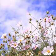 ヒメ日記 2025/10/17 23:50 投稿 工藤 人妻楼 熊谷店