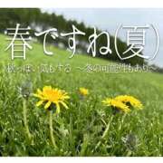 ヒメ日記 2025/04/27 02:48 投稿 穂波　いと プルプル札幌性感エステ はんなり