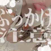 ヒメ日記 2026/02/07 03:33 投稿 穂波　いと プルプル札幌性感エステ はんなり