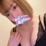 ヒメ日記 2025/02/12 13:48 投稿 ☆ねね☆MAXレベルの美女が見参 プロポーション オキナワ