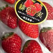 ヒメ日記 2026/01/28 08:26 投稿 みくる XSTASY（エクスタシー）