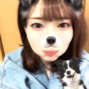 ヒメ日記 2025/04/25 17:08 投稿 もも ココリラ吉祥寺・調布店