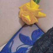 ヒメ日記 2024/12/29 18:35 投稿 ★けい★ 沼津発 人妻デリヘル お蝶婦人