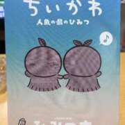 ヒメ日記 2026/09/20 15:18 投稿 いおり IRIS(岐阜)