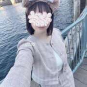 ヒメ日記 2025/04/19 06:24 投稿 相沢りな セレブショップ新宿（東京ハレ系）