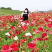 ヒメ日記 2025/05/14 22:22 投稿 相沢りな セレブショップ新宿（東京ハレ系）