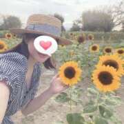 ヒメ日記 2025/09/04 22:33 投稿 相沢りな セレブショップ新宿（東京ハレ系）