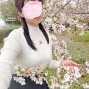 ヒメ日記 2026/04/06 22:33 投稿 相沢りな セレブショップ新宿（東京ハレ系）