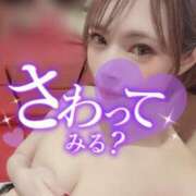 ヒメ日記 2025/05/31 06:14 投稿 すずね SOPHIA（ソフィア）