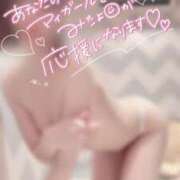 ヒメ日記 2025/06/04 05:53 投稿 すずね SOPHIA（ソフィア）