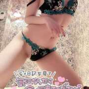 ヒメ日記 2025/07/22 06:03 投稿 すずね SOPHIA（ソフィア）