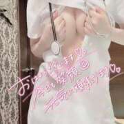 ヒメ日記 2025/11/20 05:33 投稿 すずね SOPHIA（ソフィア）