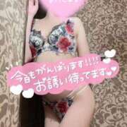 ヒメ日記 2025/11/22 10:03 投稿 すずね SOPHIA（ソフィア）