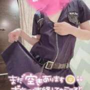 ヒメ日記 2025/12/03 10:18 投稿 すずね SOPHIA（ソフィア）