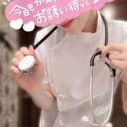 ヒメ日記 2026/05/24 06:15 投稿 すずね SOPHIA（ソフィア）