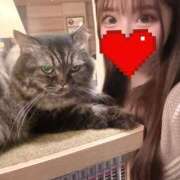 ヒメ日記 2025/02/02 12:00 投稿 るな 派遣型リフレ秋葉原　JK SEVEN