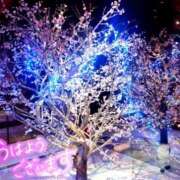 ヒメ日記 2024/12/23 10:22 投稿 松岡香澄 五十路マダム 仙台店