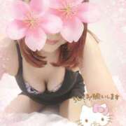 ヒメ日記 2025/04/05 13:06 投稿 松岡香澄 五十路マダム 仙台店