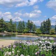 ヒメ日記 2026/07/01 11:16 投稿 松岡香澄 五十路マダム 仙台店
