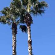 ヒメ日記 2025/02/27 20:17 投稿 千夏 脱がされたい人妻 越谷店