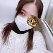 ヒメ日記 2025/01/26 15:31 投稿 さくな 奥鉄オクテツ東京店（デリヘル市場）