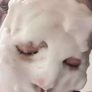 ヒメ日記 2025/03/11 01:07 投稿 さくな 奥鉄オクテツ東京店（デリヘル市場）