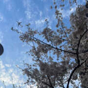 ヒメ日記 2025/04/07 19:29 投稿 さくな 奥鉄オクテツ東京店（デリヘル市場）