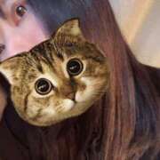 ヒメ日記 2025/06/13 16:02 投稿 さくな 奥鉄オクテツ東京店（デリヘル市場）