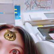 ヒメ日記 2026/08/05 22:25 投稿 さくな 奥鉄オクテツ東京店（デリヘル市場）