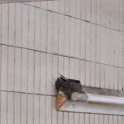 ヒメ日記 2025/06/03 13:18 投稿 あらかわ 川崎・東横人妻城