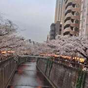 ヒメ日記 2026/03/30 18:08 投稿 あらかわ 川崎・東横人妻城