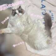 ヒメ日記 2025/02/02 07:46 投稿 ヒヨリ ロボットデリヘル五反田基地