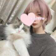 ヒメ日記 2025/04/18 07:36 投稿 ヒヨリ ロボットデリヘル川越基地