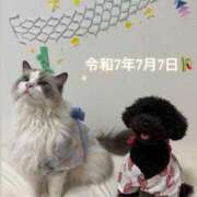 ヒメ日記 2025/07/08 02:36 投稿 ヒヨリ ロボットデリヘル川越基地