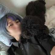 ヒメ日記 2025/09/11 22:06 投稿 ヒヨリ ロボットデリヘル川越基地