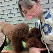 ヒメ日記 2025/09/03 18:36 投稿 ヒヨリ ロボットデリヘル